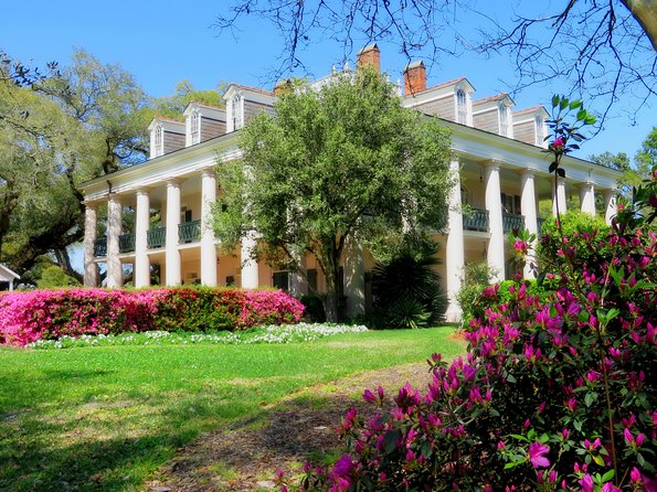 Oak Alley Plantation Tour With Transportation From New Orleans - Exploring the Enchanting Grounds