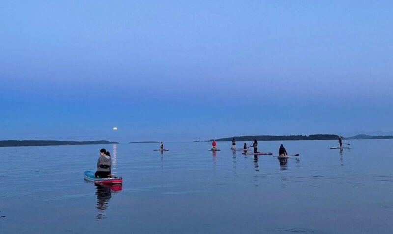 Oak Bay: Full Moon Paddle Experience - Key Points