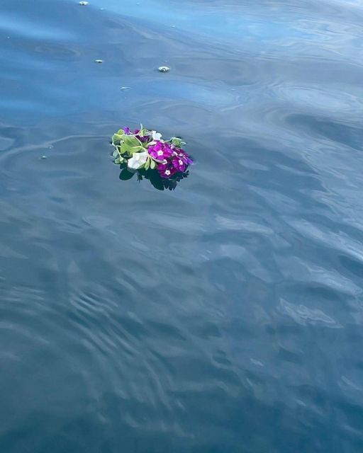 Oak Bay: Full Moon Paddle Experience - Meeting Location Options