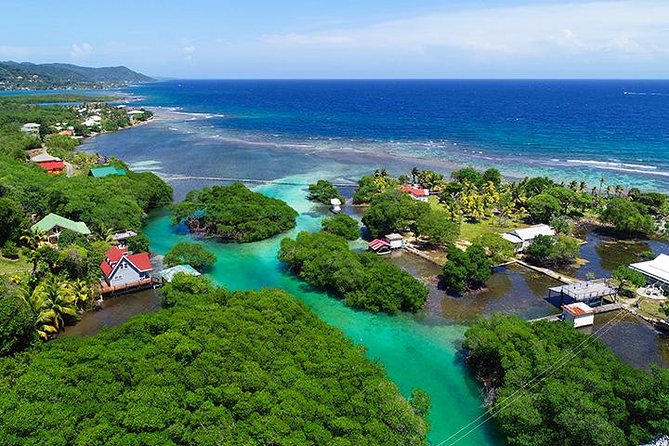 Oak Ridge The Venice of Roatan - Exploring the Mangrove Tunnel