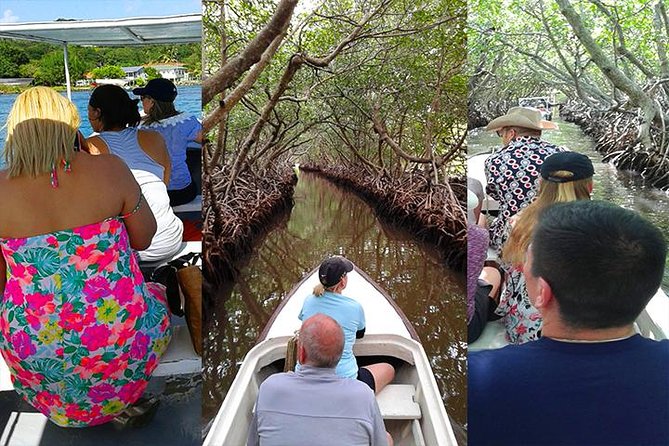 Oak Ridge The Venice of Roatan - Positive Customer Feedback Highlights