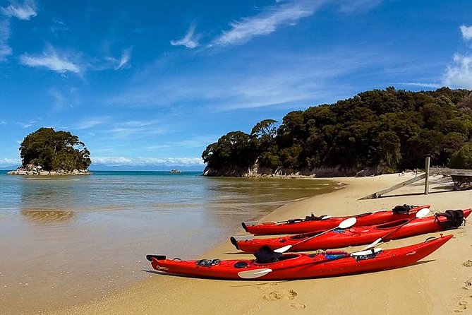 Oarsome Marine Reserve Kayak Tour - Customer Feedback