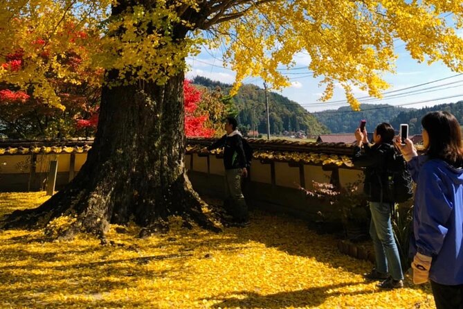 Oasa Country Cycling (Easy Access From Hiroshima 1 Hr Scenic Bus) - Guide and Group Size