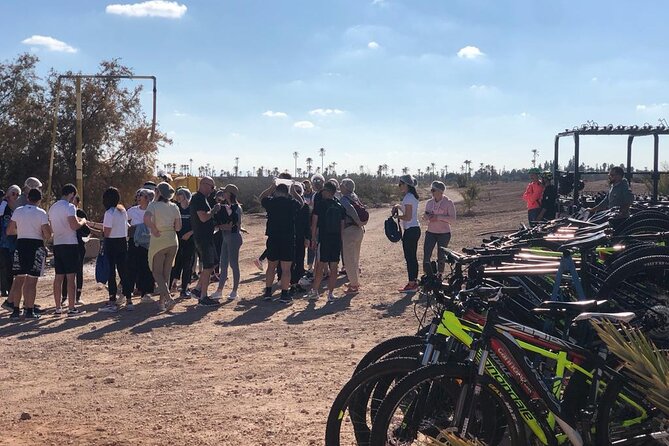 Oasis Tour On Bicycle - Traveler Feedback