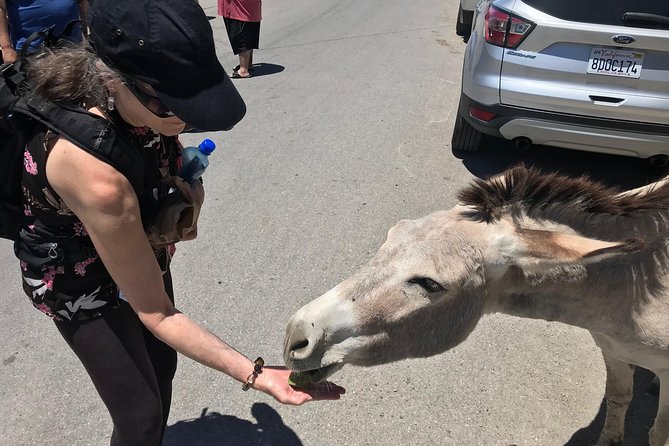 Oatman Mining Camp, Burros, Museums/Scenic RT66 Tour Small Grp - Transportation and Logistics