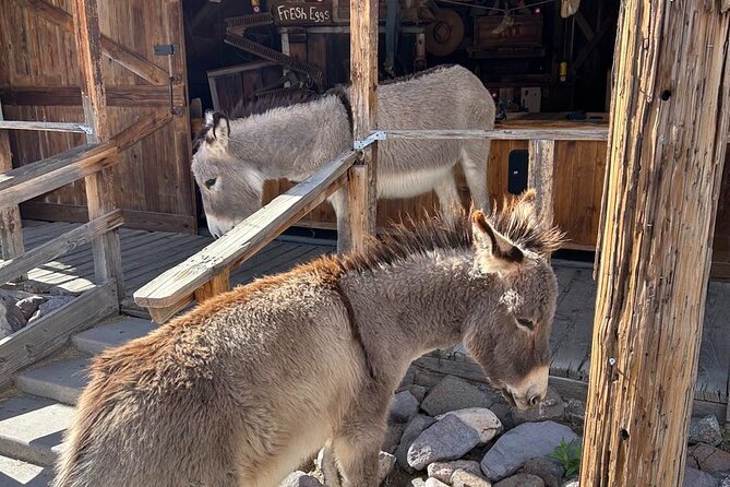 Oatman – Old Western Town RT66 Museum Black Mountain Scenic Drive - Black Mountain Scenic Drive