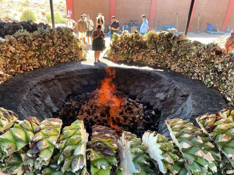 Oaxac: An Authentic Mezcal Journey - Key Points
