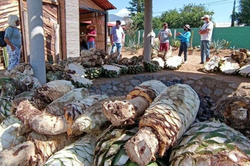 Oaxaca: Ancestral Mezcal Experience - Local Mezcal Production