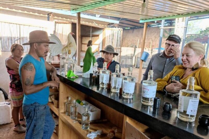 Oaxaca: Ancestral Mezcal Tasting in Ocotlan Valley - Tour Overview and Duration