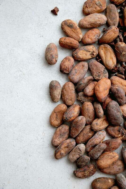 Oaxaca: Chocolate and Ancestral Drinks Tour - Who Will Love This Experience?