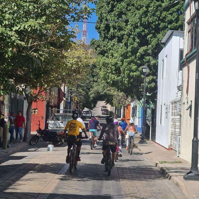 Oaxaca City: Bike Tour with Professional Guide+Art workshop - Pricing and Value