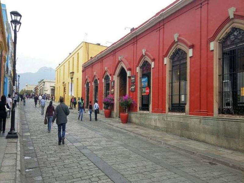 Oaxaca : City Tour - Market November 20