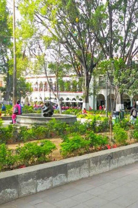 Oaxaca : City Tour - Frequently Asked Questions