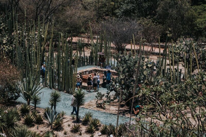 Oaxaca City Walking Tour - Markets, Textile Museum & Lunch - Key Points