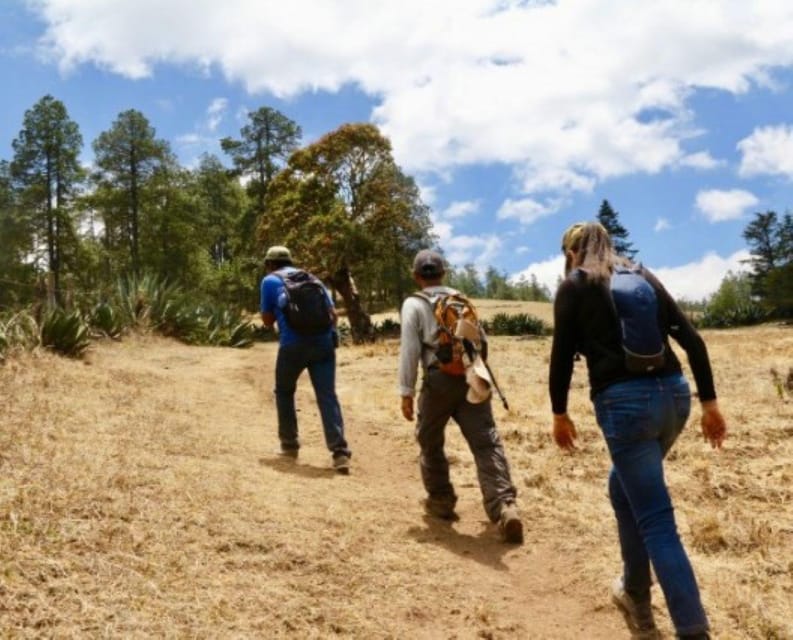 Oaxaca: Communal Towns Hiking Tour - Culinary Experience