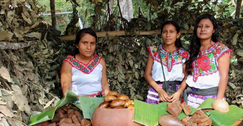 Oaxaca: Crafts & Cuisine Culture Tour - Tour Inclusions