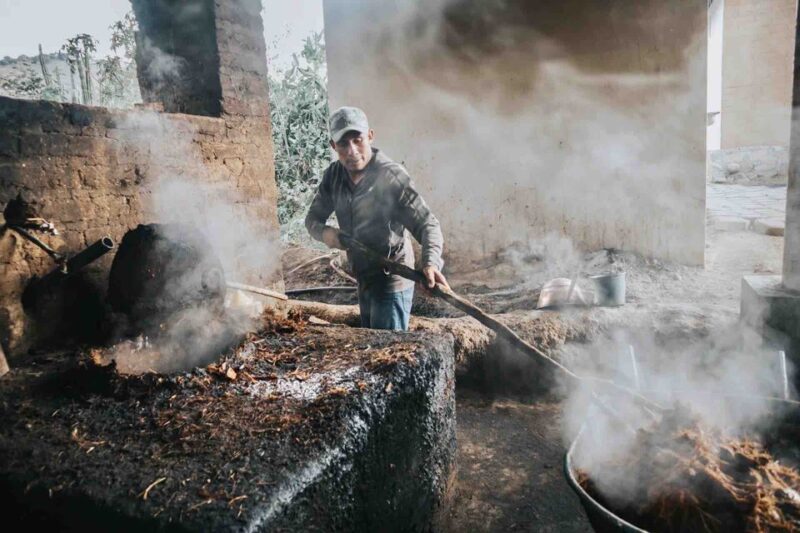 Oaxaca: Crafts & Cuisine Culture Tour - Cancellation and Reservation Policy