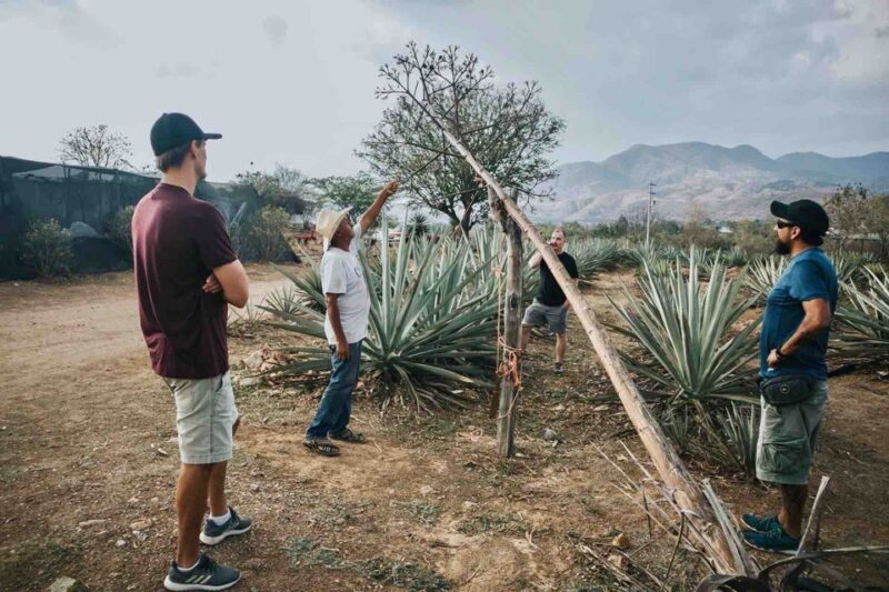 Oaxaca: Crafts & Cuisine Culture Tour - Experience Highlights