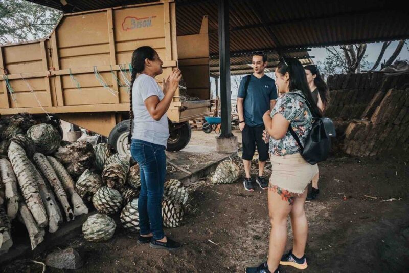 Oaxaca: Crafts & Cuisine Culture Tour - Inclusions