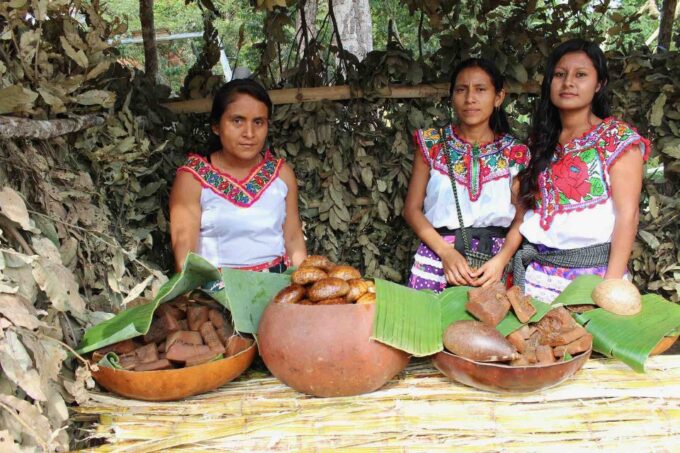 Oaxaca: Crafts & Cuisine Culture Tour - Enjoy Local Cuisine and Mezcal