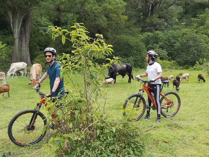 Oaxaca: Ejutla Canyon 1 Day Bike Tour - Key Points