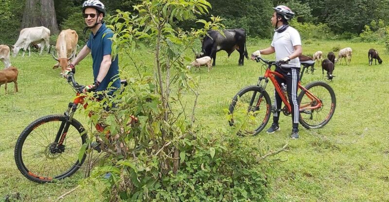 Oaxaca: Ejutla Canyon 1 Day Bike Tour - Experience Highlights