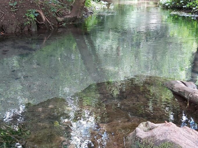 Oaxaca: Ejutla Canyon 1 Day Bike Tour - Frequently Asked Questions