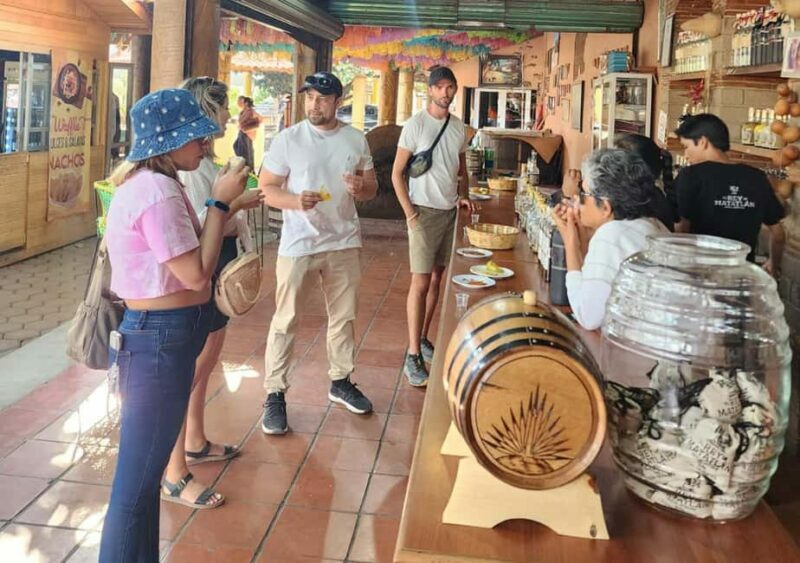 Oaxaca: El Tule, Mitla, and Hierve el Agua Tour with Mezcal - Final Thoughts: Who Should Consider This Tour?