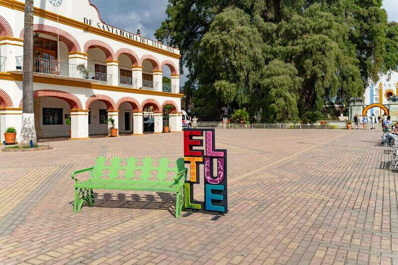 Oaxaca: El Tule tree, Teotitlan Village & Mezcal Tour - A Detailed Look at the Tour Experience