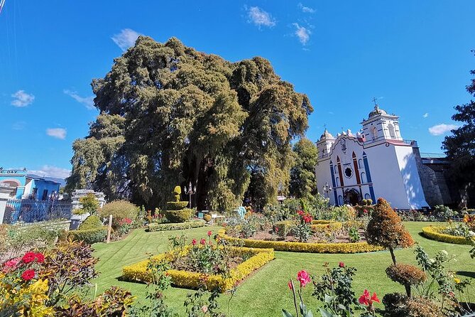 Oaxaca Essence - Experience Details