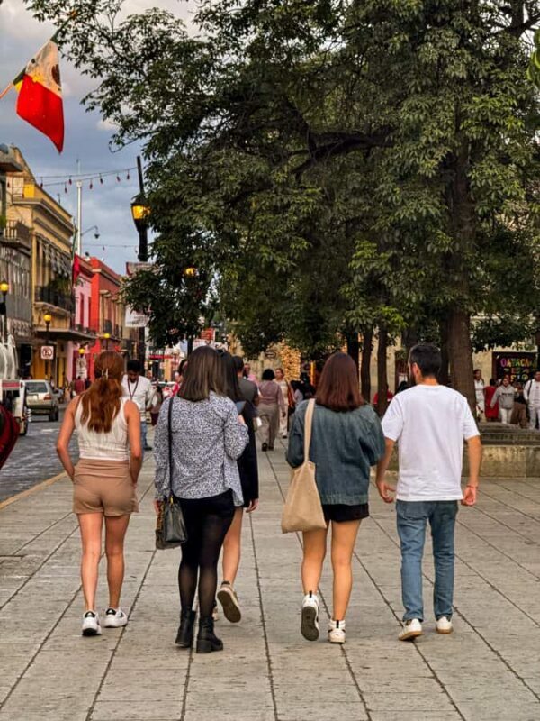 Oaxaca: First Day in Oaxaca  Walk with Your Personal Guide - Santo Domingo and the Cultural Significance
