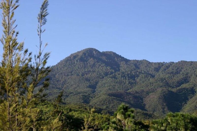 Oaxaca: Forest and Nature Walking Experience - Key Points