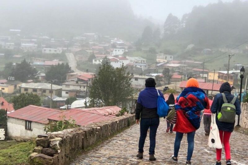 Oaxaca: Forest and Nature Walking Experience - Experience Highlights