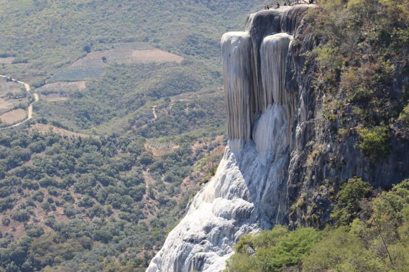 Oaxaca: Full Day Guided Tour on the Hierve El Agua Route - The Tree of Tule