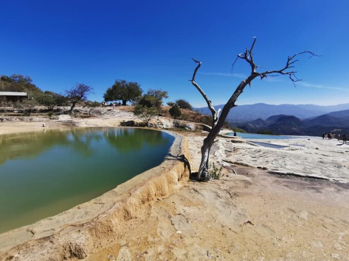 Oaxaca: Full Day Guided Tour on the Hierve El Agua Route - Mezcal Tasting