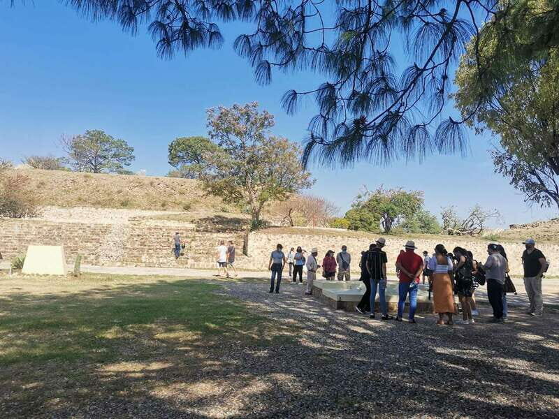 Oaxaca: Full Day Guided Tour on the Monte Alban Route - Authentic Regional Cuisine: A Bright Spot