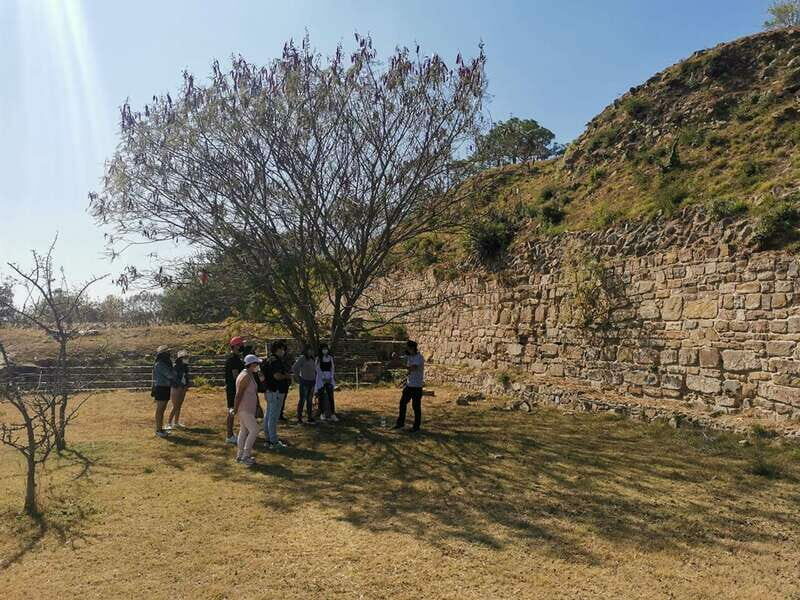 Oaxaca: Full Day Guided Tour on the Monte Alban Route - Price and Value: Does It Make Sense?