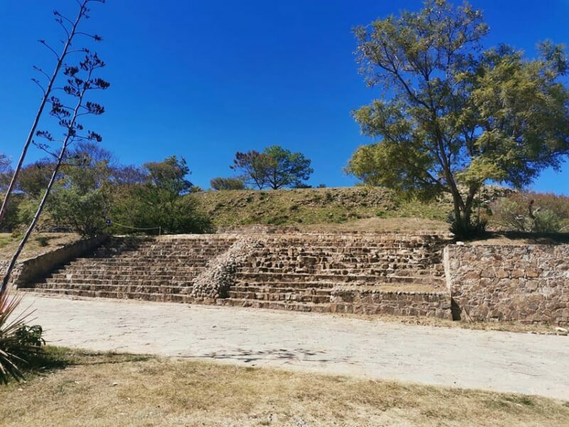 Oaxaca: Full Day Guided Tour on the Monte Alban Route - What Could Be Improved?