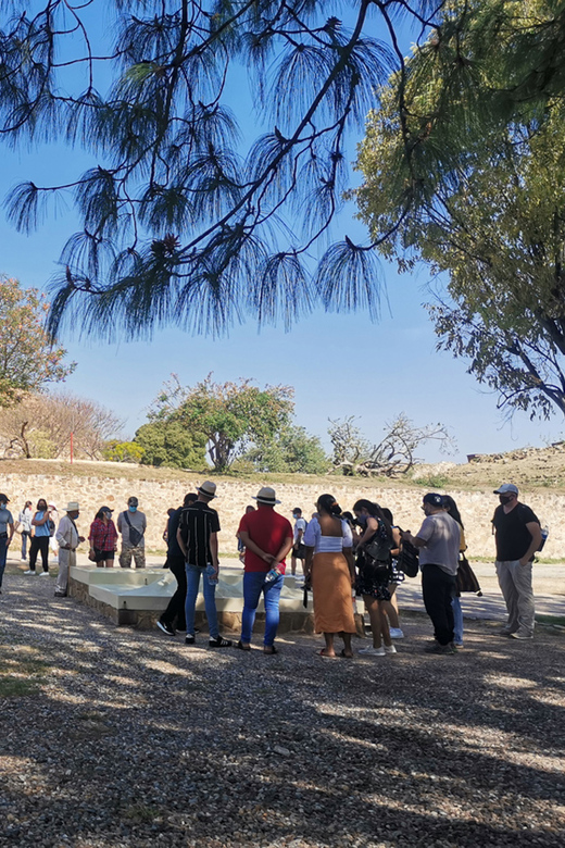 Oaxaca: Full Day Guided Tour on the Monte Alban Route - Key Points