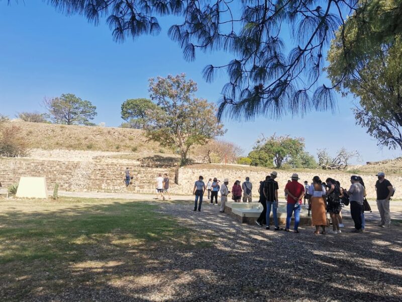 Oaxaca: Full Day Guided Tour on the Monte Alban Route - Artisan Workshops