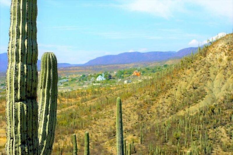 Oaxaca: Geoparque Exploration Tour - Unique Geological Features