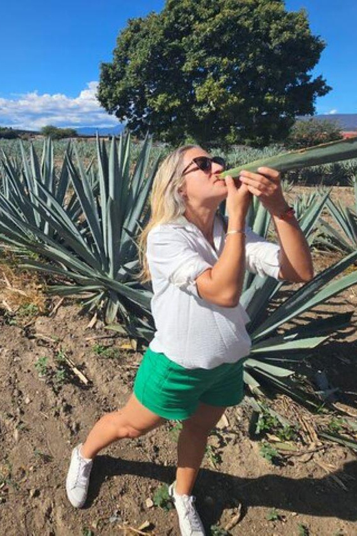 Oaxaca: Hierve El Agua, Mezcal Distillery, and Lunch Tour - Frequently Asked Questions