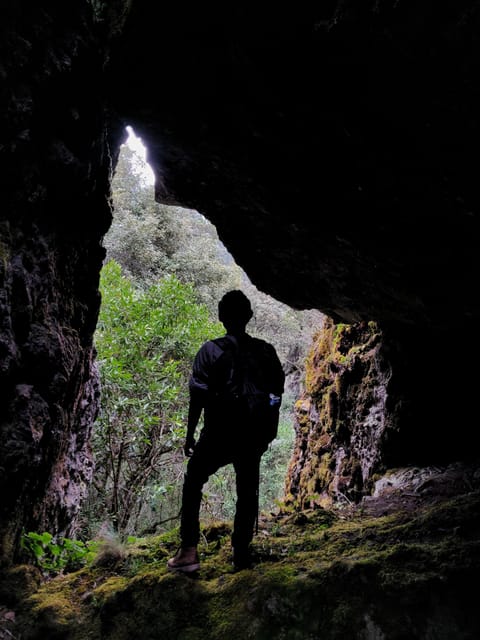 Oaxaca: Hiking in the Mushroom Forest of Cuajimoloyas - What to Bring