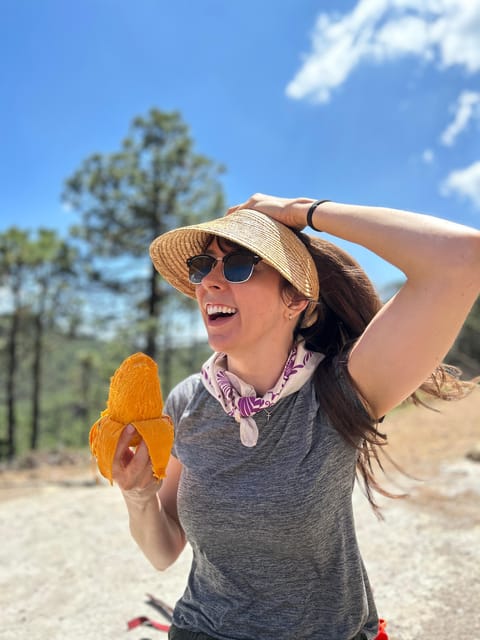 Oaxaca: Hiking in the Sierra Norte Forest - Highlights and Scenic Features