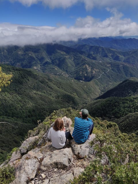 Oaxaca: Hiking in the Sierra Norte Forest - Transportation and Logistics