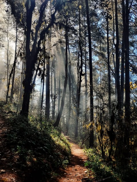 Oaxaca: Hiking in the Sierra Norte Forest - Outdoor Apparel and Gear