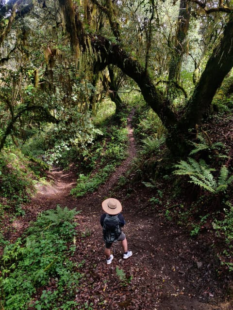 Oaxaca: Hiking in the Sierra Norte Forest - Health and Safety Considerations