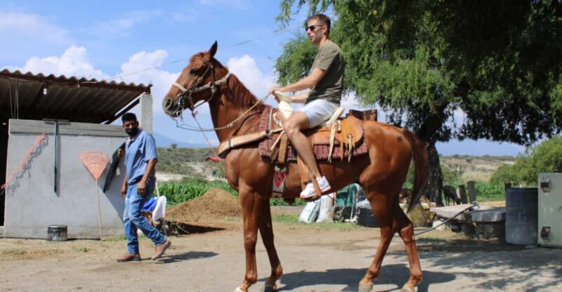 Oaxaca: Horseback Riding and Mezcal Tasting Tour - Key Points