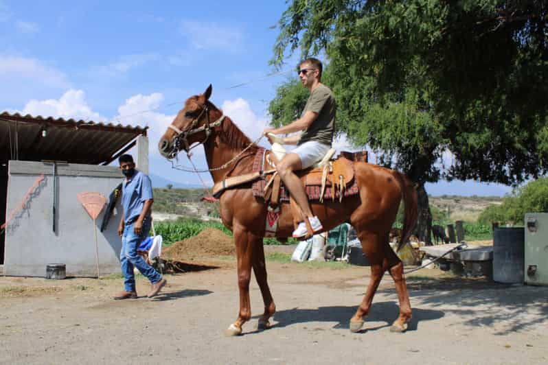 Oaxaca: Horseback Riding and Mezcal Tasting Tour - Horseback Riding Through Agave Fields