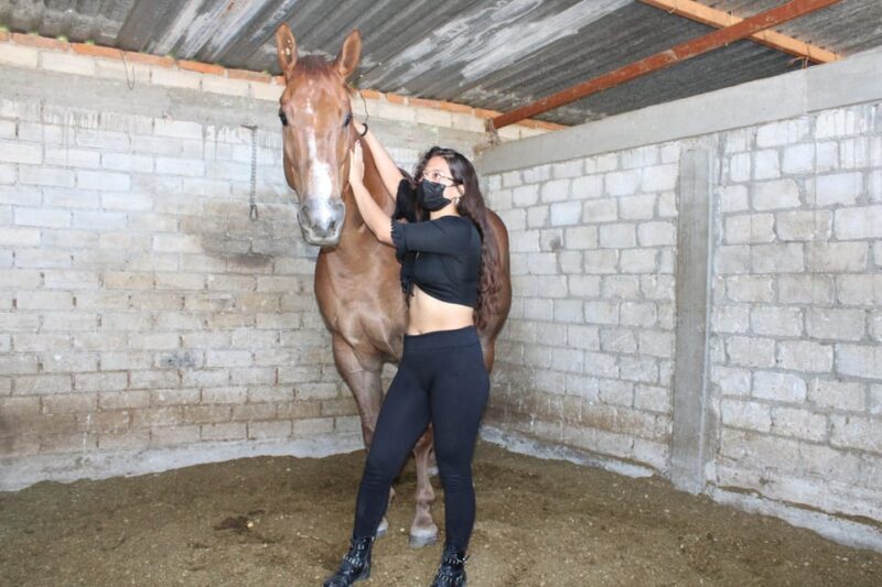 Oaxaca: Horseback Riding and Mezcal Tasting Tour - Exploration of Union Zapata